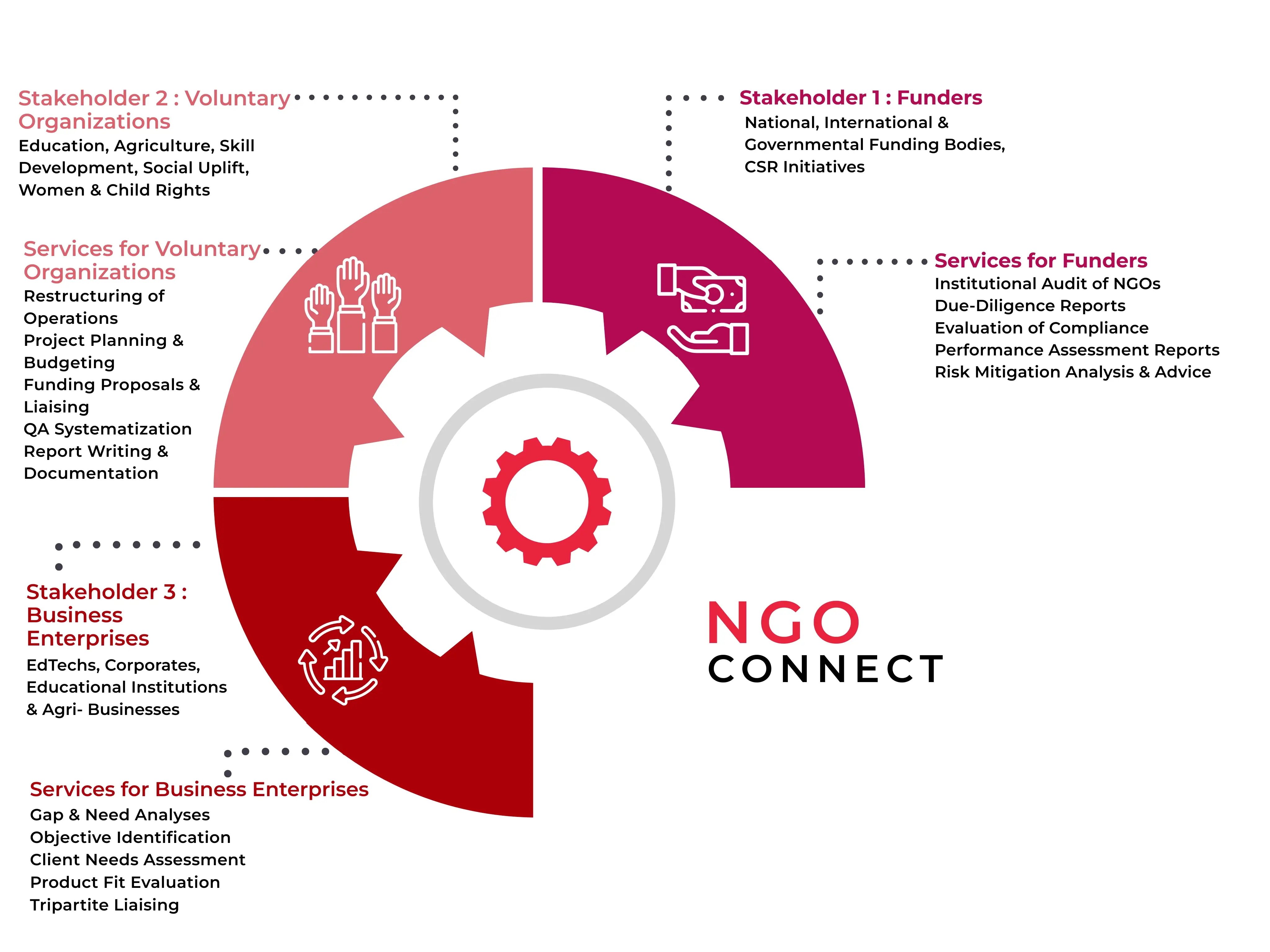 ngo connect infographic